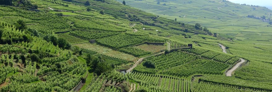 régions viticoles de France