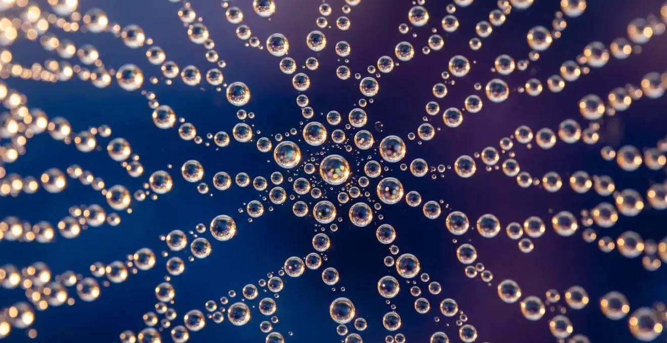 Illustration scientifique du cerveau montrant le bulbe olfactif connecté au système limbique