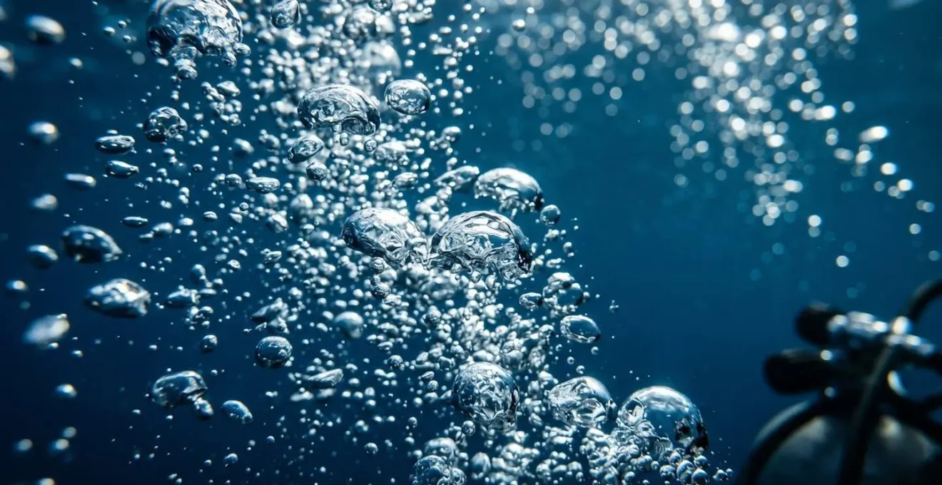Diagramme anatomique montrant les poumons d'un plongeur en phase d'inspiration et expiration avec différence de flottabilité